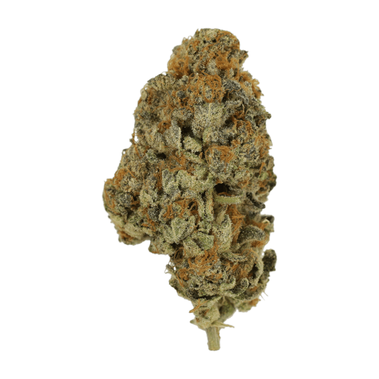 Key Lime Pie | OG Extracts Canada Key Lime Pie | OG Extracts Canada