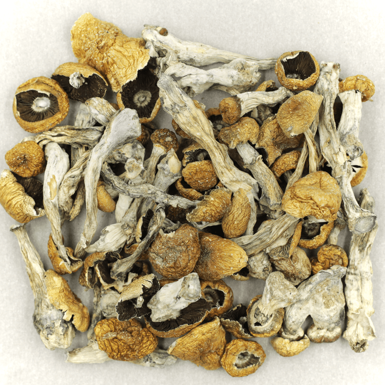 Orissa | OG Extracts Canada Orissa | OG Extracts Canada