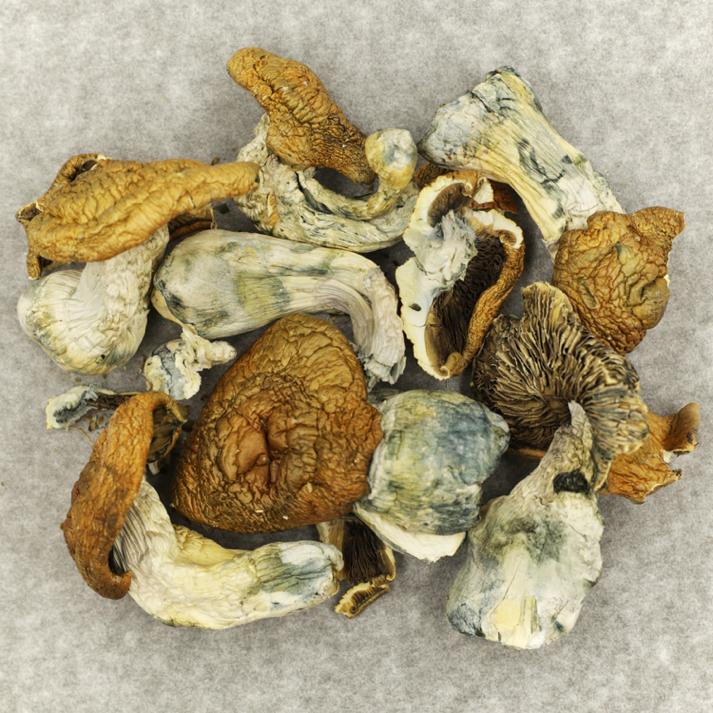 King Kong | OG Extracts Canada King Kong | OG Extracts Canada