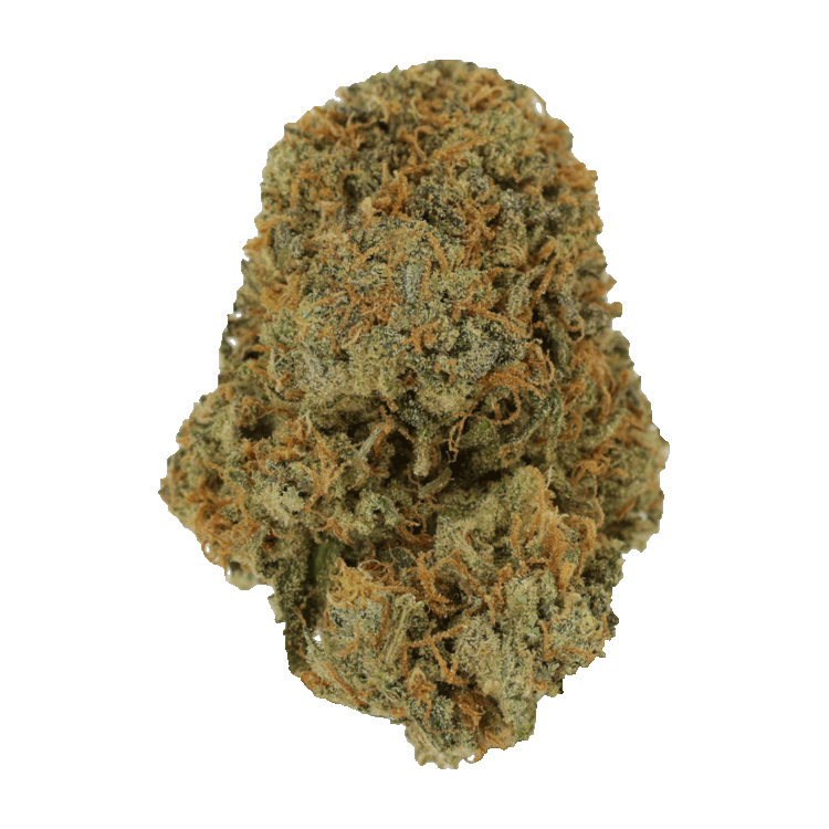 Fruit Punch | OG Extracts Canada Fruit Punch | OG Extracts Canada