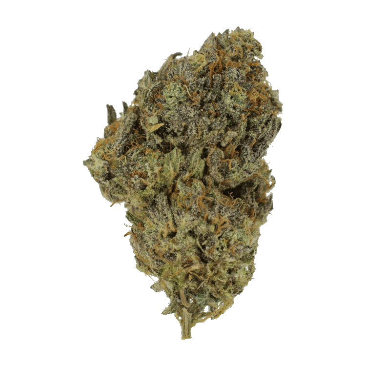 Dosi Cake | OG Extracts Canada Dosi Cake | OG Extracts Canada