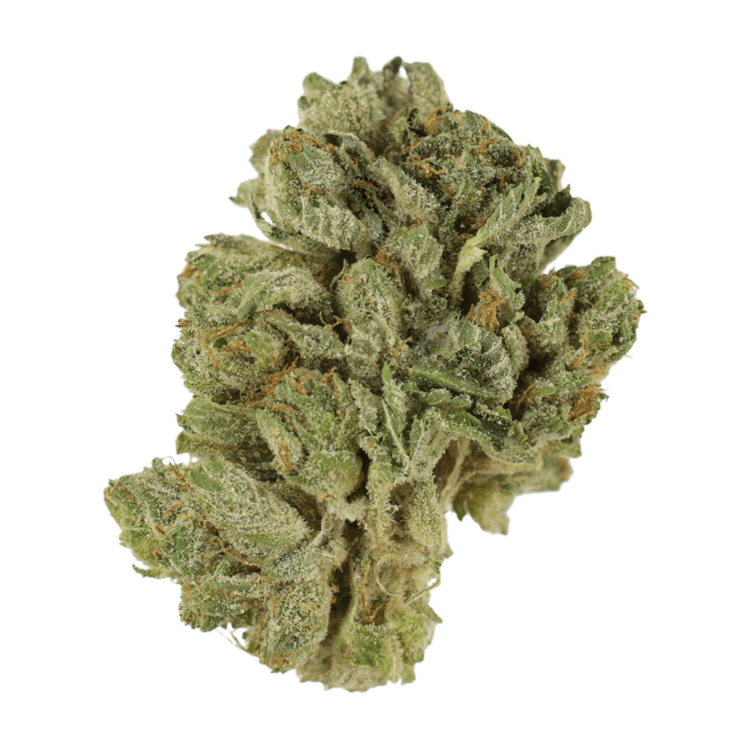 Northern Wonder | OG Extracts Canada Northern Wonder | OG Extracts Canada