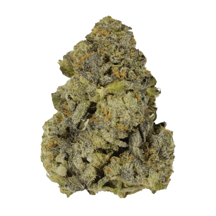 Purple Widow | OG Extracts Canada Purple Widow | OG Extracts Canada