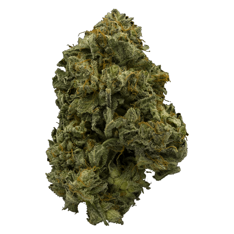 Pink Panties | OG Extracts Canada Pink Panties | OG Extracts Canada