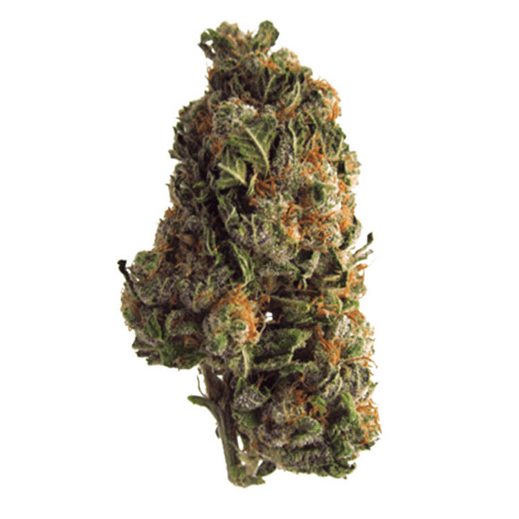 Grape Crush | OG Extracts Canada Grape Crush | OG Extracts Canada