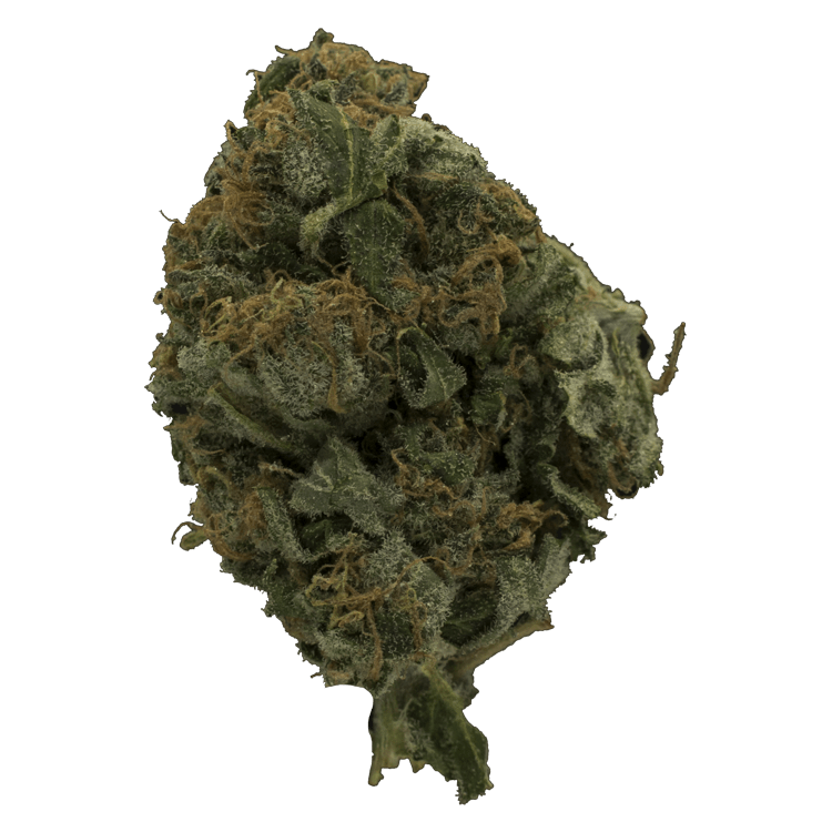 Glitter | OG Extracts Canada Glitter | OG Extracts Canada