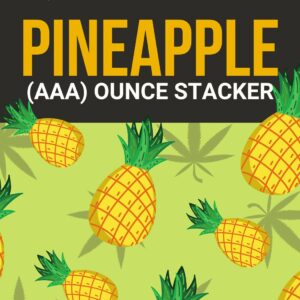 Pineapple 1 OZ Kit | OG Extracts Canada